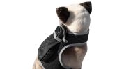 Rechargeable Mini Collar Pet Tracker Waterproof Dog Locator Device NEW Size:M
