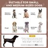 Raised Dog Bed Cooling Dog Cot w/ Canopy Washable Breathable Mesh, for Small and Medium Dogs, Coffee
